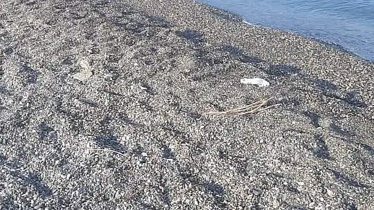 Plaja bırakılan çöpler vatandaşın tepkisini çekti