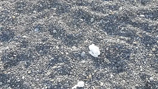 Plaja bırakılan çöpler vatandaşın tepkisini çekti