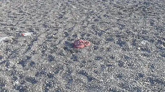 Plaja bırakılan çöpler vatandaşın tepkisini çekti