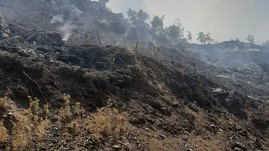 Ortaca'dan, Köyceğiz'e Destek