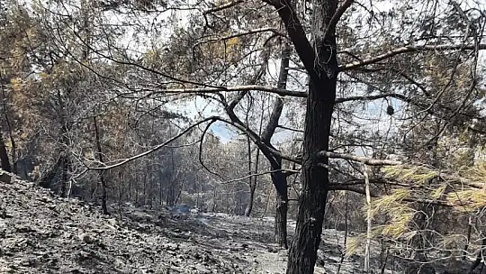 Ortaca'dan, Köyceğiz'e Destek