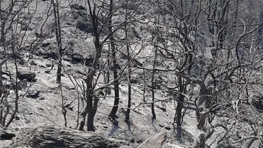 Ortaca'dan, Köyceğiz'e Destek