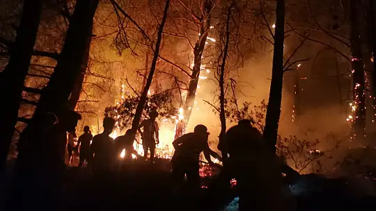 Fethiye'deki Yangın Kontrol Altına Alındı
