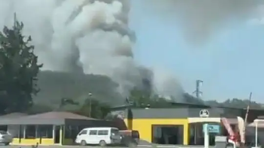 Seydikemer'de orman yangını