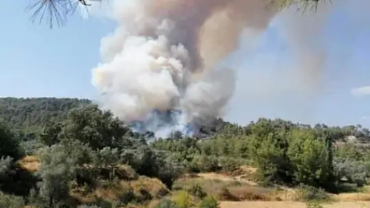Seydikemer'de orman yangını