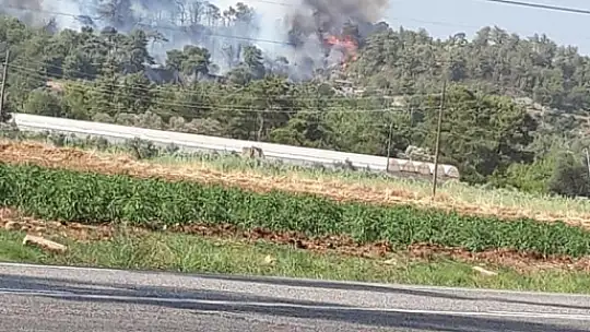 Seydikemer'de orman yangını