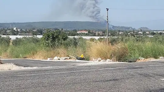 Seydikemer'de orman yangını