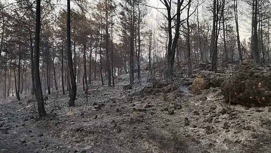 Seydikemer yangını kontrol altına alındı