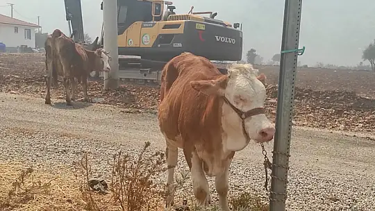 Üç mahalle tahliye ediliyor