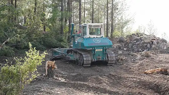 Bakan Yardımcısı Prof. Dr. Birpınar, Seydikemer'deki Yangın Bölgesinde