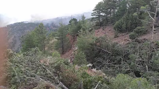 Köyceğiz Yanmaya Devam Ediyor