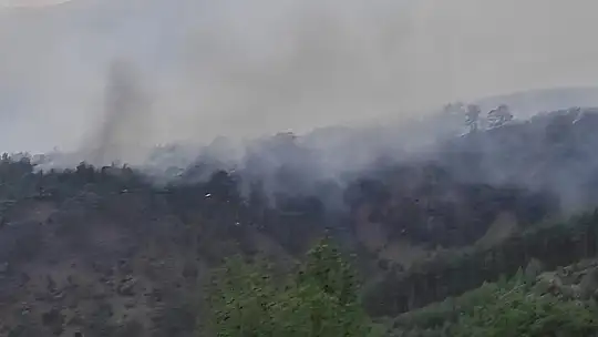 Köyceğiz Yangınına Bilecik'ten Destek