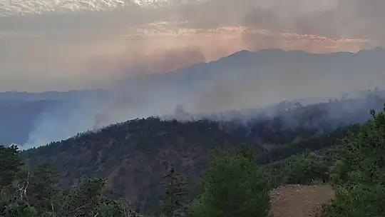 'Mor Bereli' kızlar afet bölgelerinde