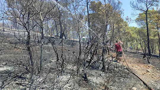 Seydikemer Karaköy yangını kontrol altına alındı