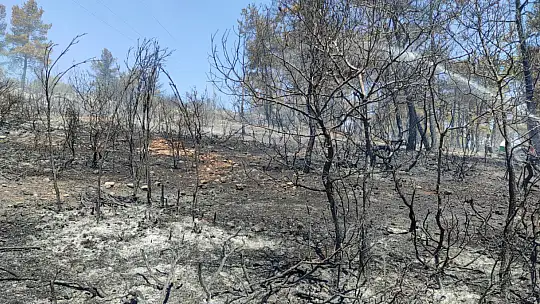 Seydikemer Karaköy yangını kontrol altına alındı