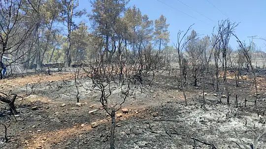 Seydikemer Karaköy yangını kontrol altına alındı