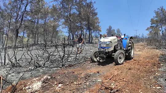 Seydikemer'deki yangınlar kontrol altına alındı
