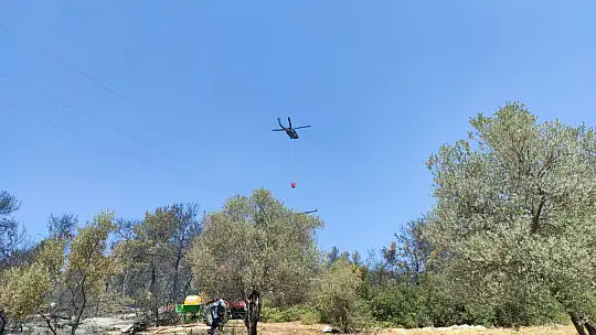 Seydikemer'deki yangınlar kontrol altına alındı