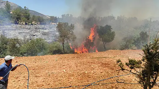 Seydikemer'deki yangınlar kontrol altına alındı