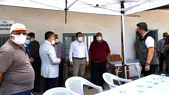 Orman Yangınından Etkilenen Bölgelerde Çalışmalar Tüm Hızıyla Devam Ediyor