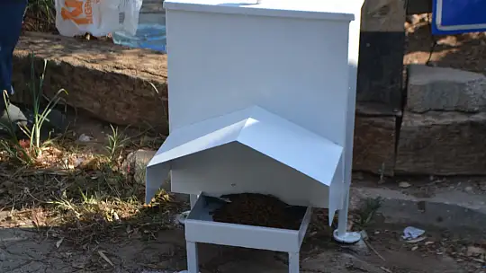 Ölüdeniz'de sokak hayvanları için özel mama kapları yerleştirildi