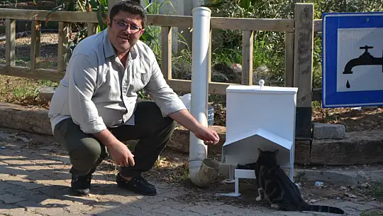 Ölüdeniz'de sokak hayvanları için özel mama kapları yerleştirildi