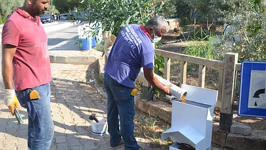 Ölüdeniz'de sokak hayvanları için özel mama kapları yerleştirildi