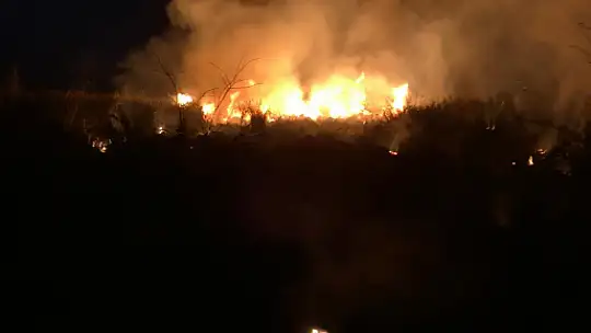 Sazlık ve kovalık alanda çıkan yangın kontrol altına alındı