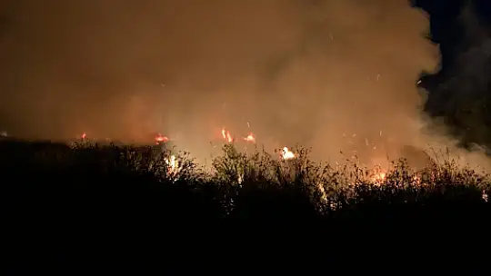 Sazlık ve kovalık alanda çıkan yangın kontrol altına alındı