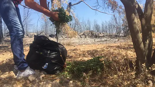 Aktepe, 'Bizde gönüllülük esastır'