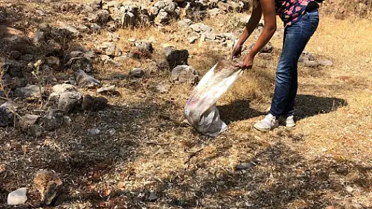 Hayvan Kurtarma Ekibi her yerde