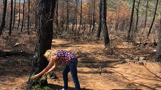Aktepe, 'Bizde gönüllülük esastır'