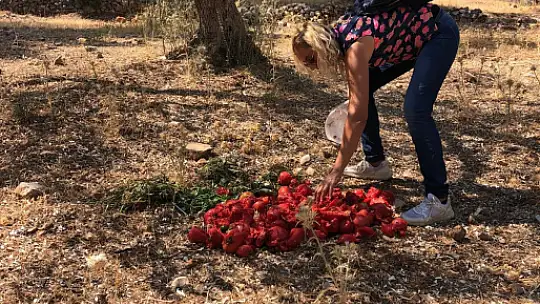 Aktepe, 'Bizde gönüllülük esastır'