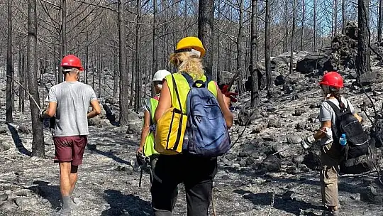 Aktepe, 'Bizde gönüllülük esastır'