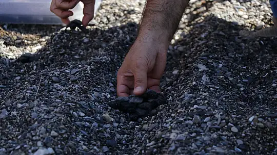 'Emel' ve 'Muhsine' takip cihazı ile denize bırakıldı