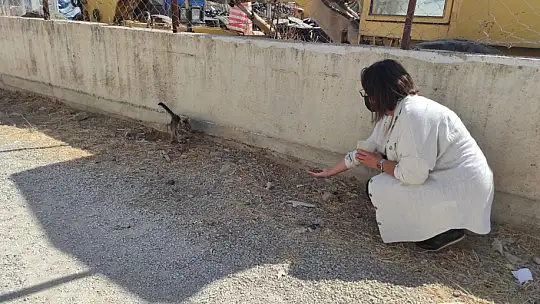 Hayvanları Koruma Gününde farkındalık için mama dağıttılar