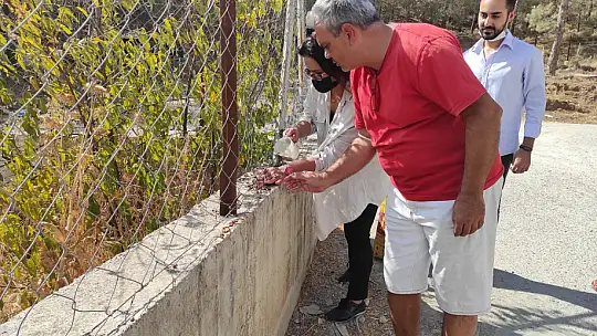 Hayvanları Koruma Gününde farkındalık için mama dağıttılar