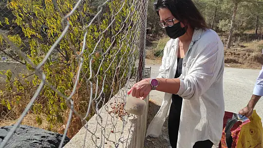 Hayvanları Koruma Gününde farkındalık için mama dağıttılar