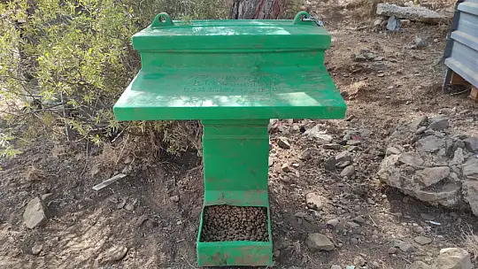 Hayvanları Koruma Gününde farkındalık için mama dağıttılar