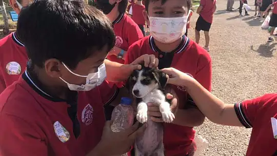 Hayvanları Koruma Gününde farkındalık için mama dağıttılar