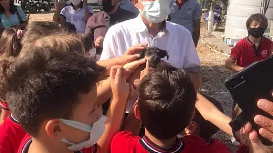 Hayvanları Koruma Gününde farkındalık için mama dağıttılar