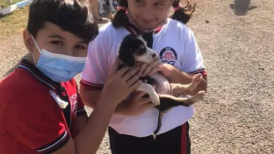 Hayvanları Koruma Gününde farkındalık için mama dağıttılar