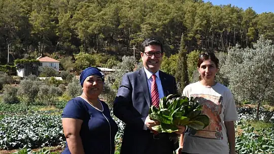 Dalaman'da tatlı patatese ilgi büyük oldu