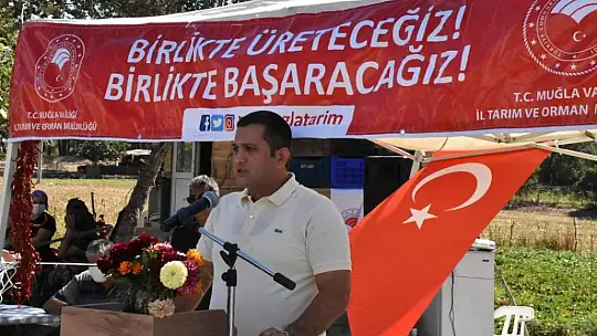 Dalaman'da tatlı patatese ilgi büyük oldu