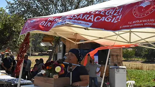 Dalaman'da tatlı patatese ilgi büyük oldu