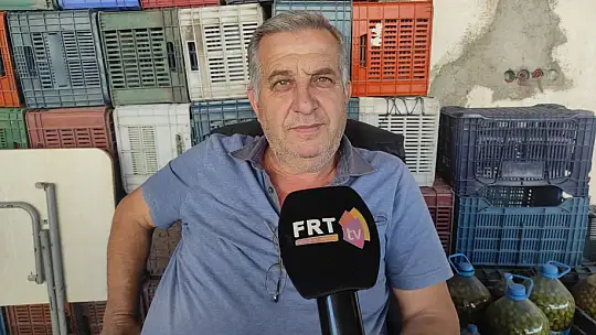 Akan, 'Zeytin fiyatları yükselecek'