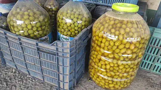 Akan, 'Zeytin fiyatları yükselecek'