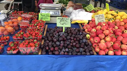 Alanda dertli satan da