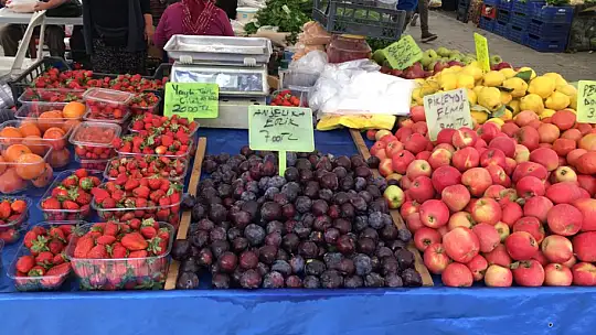 Alanda dertli satan da