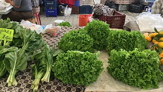 Alanda dertli satan da